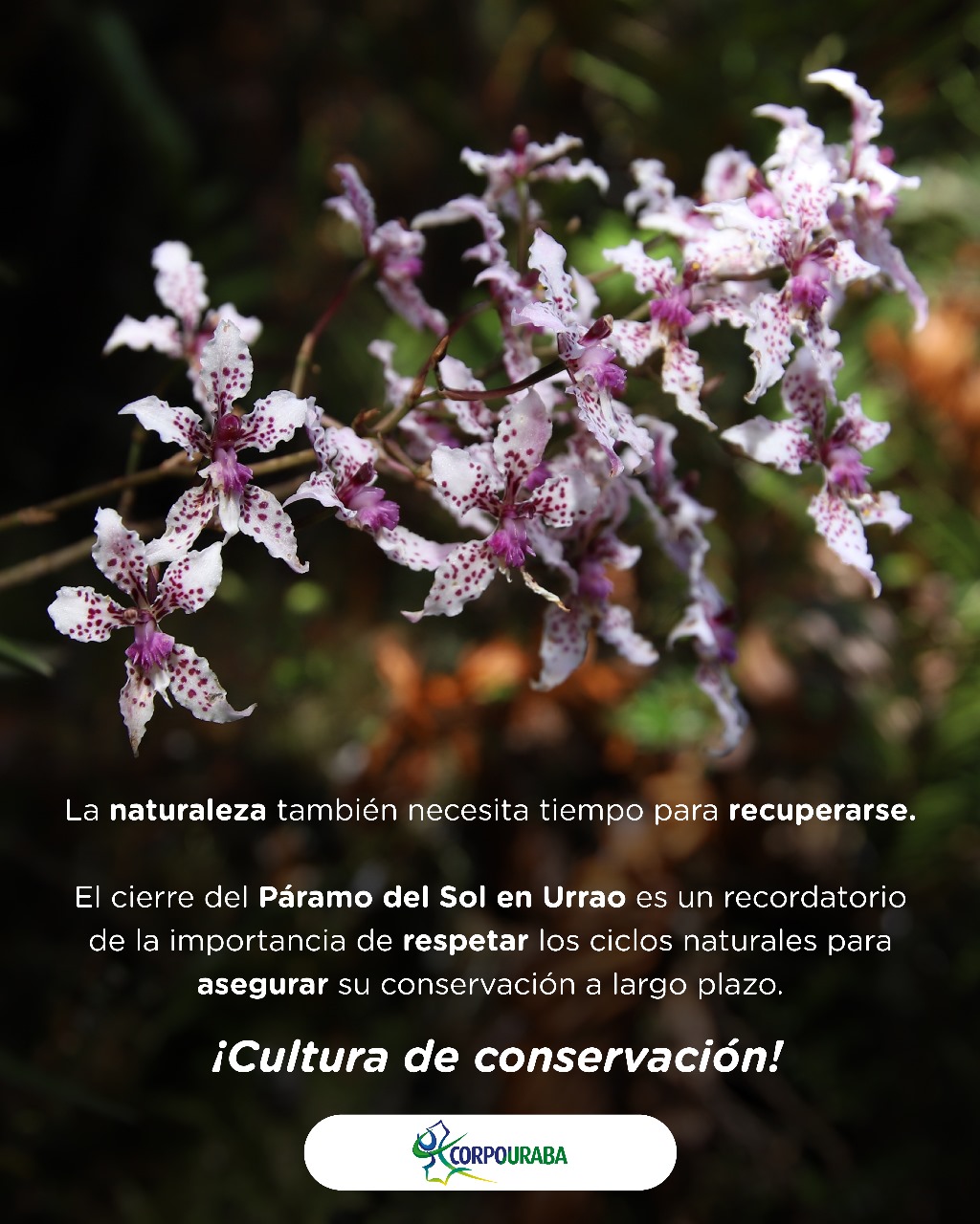 Paisaje de Urrao - Montañas